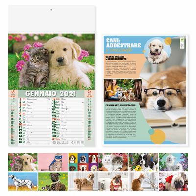 Calendario illustrato San PIO mensile 12 fogli carta patinata