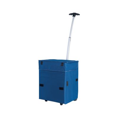 Trolley policarbonato abs 20"