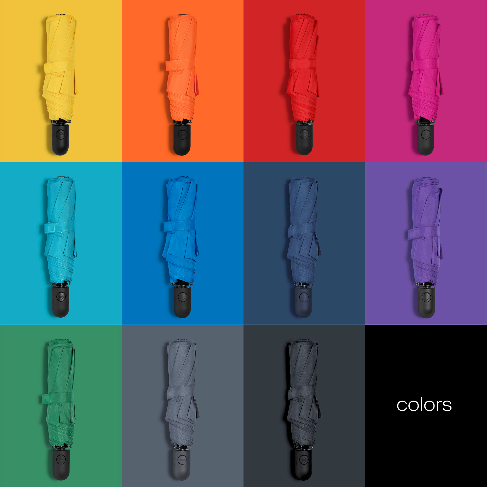 COLORISSIMO